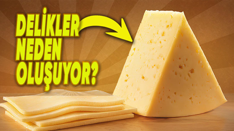 Peynirin Üzerinde Neden Delikler Olur?