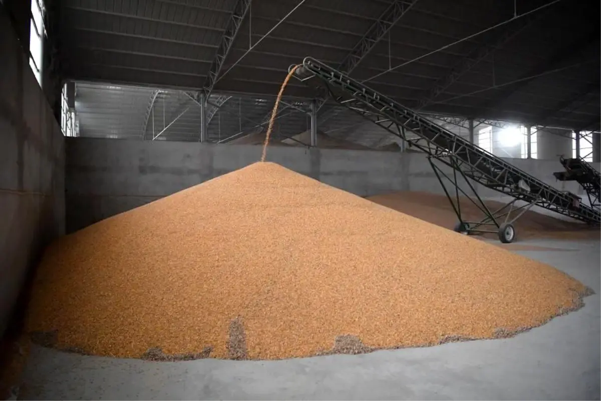 Çin’de Sonbahar Tahıl Hasadı İçin Acil Önlemler Alındı