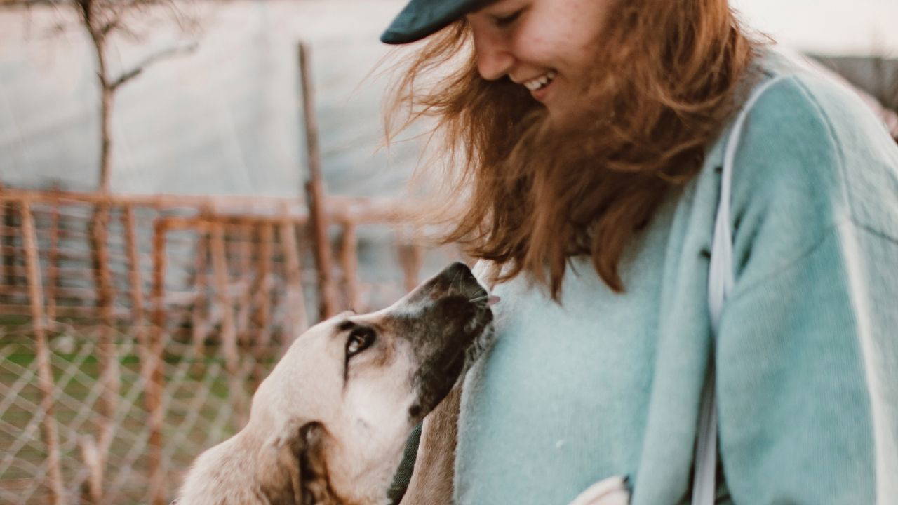 Köpeğiniz sizi görünce neden heyecanlanıyor?