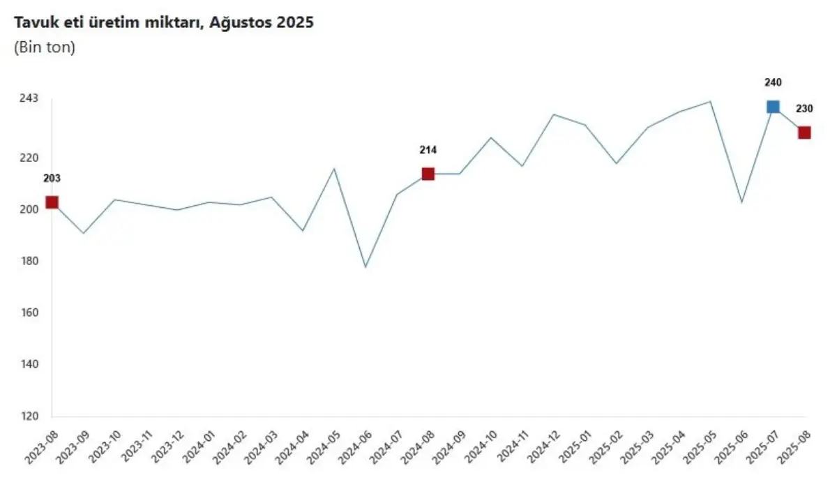 TÜİK: Ağustosta Tavuk Eti Üretimi Düştü, Süt ve Yumurtada Artış
