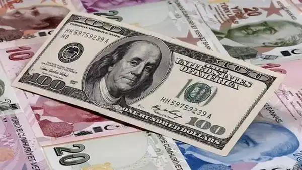 Dolar/TL’de yeni rekor: Kur tarihi seviyeyi geçti