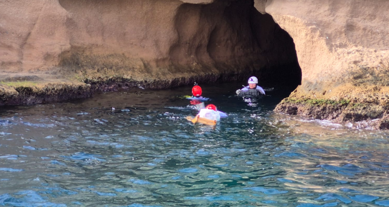 Ege’de fokların barınma alanları kameralarla donatılıyor