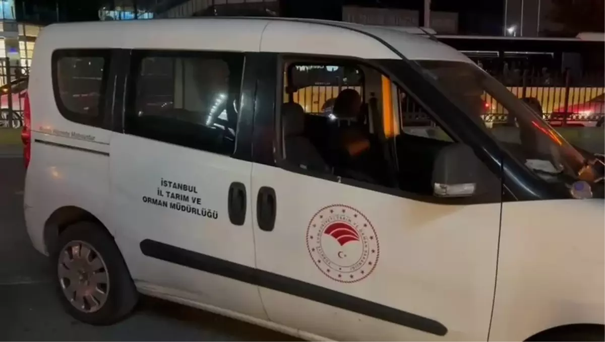 Elazığ’da Trafik Kazası: Bir Yaya Hayatını Kaybetti