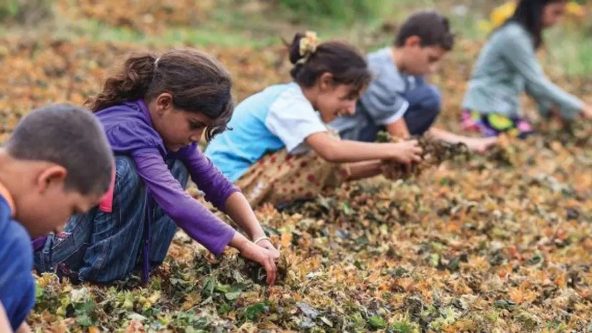Erdoğan “Niye en az dört çocuk olmasın, beş olmasın?” dedi ama: Bu yıl 72 çocuk iş kazalarında hayatını kaybetti!