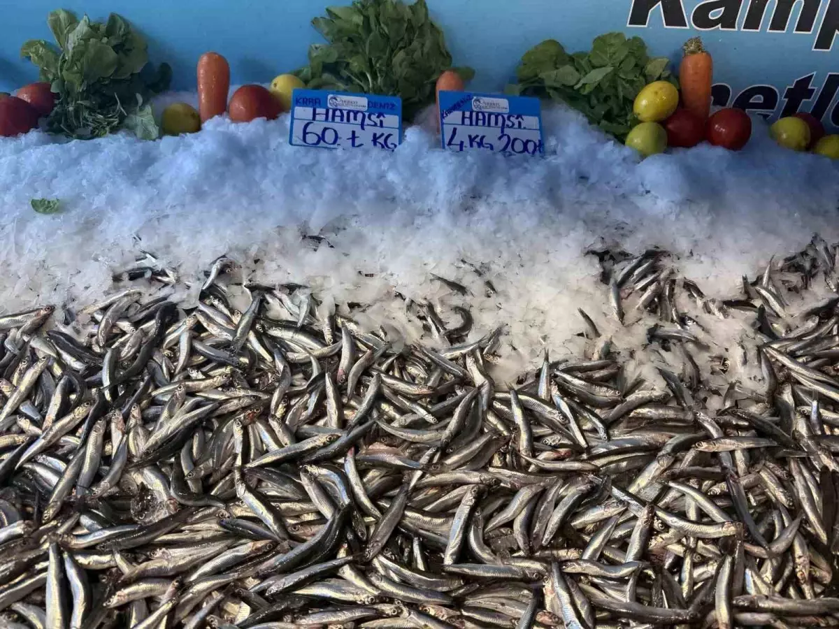 hamsinin fiyati dusmeye devam ediyor zIPdNWwr.jpg