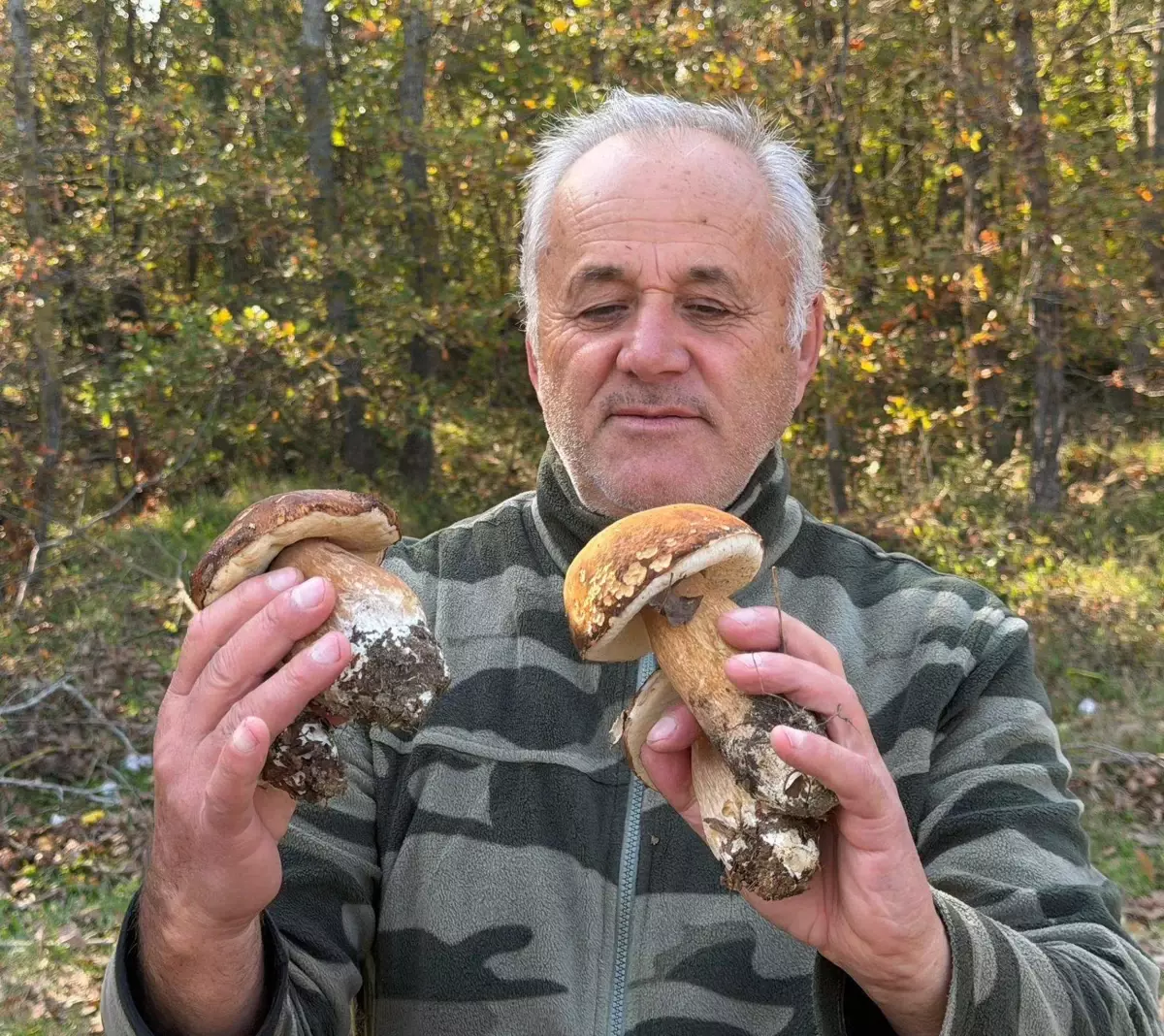 Istranca Ormanları’nda Mantar Popülasyonu Kuraklık Nedeniyle Düşüyor