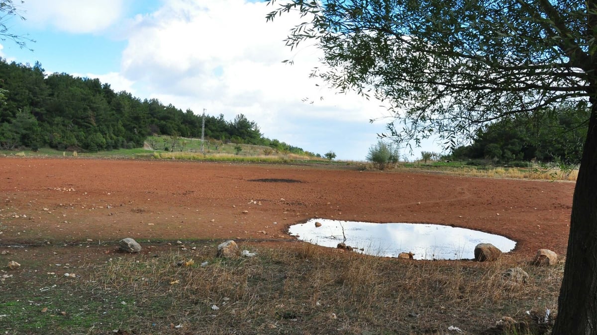 Manisa’da geçen yıl tankerlerle taşınan su ile kurtarılan Sülüklü Göl, tamamen kurudu