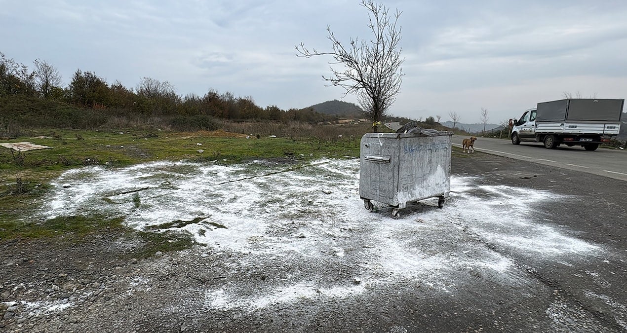 Ölü bulunan 9 köpekten doku örnekleri alındı