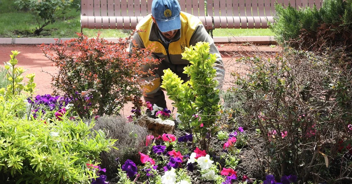 Ankara Keçiören’de seradan parklara uzanan yeşil yolculuk