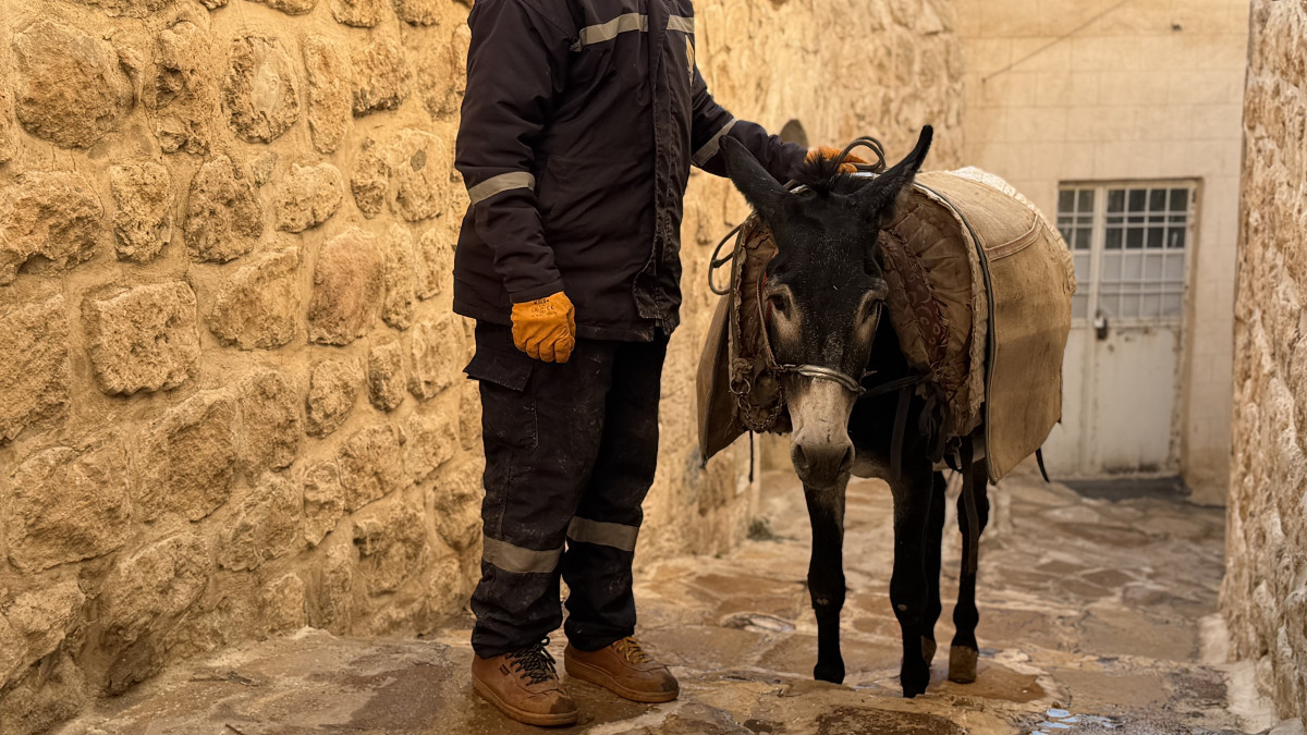 Mardin’de ‘kadrolu’ eşekleri emekli edecek proje hayata geçiyor