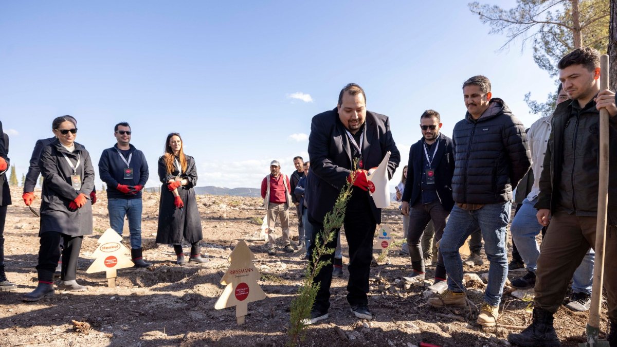 Rossmann Türkiye ve iş ortaklarından: 150 bin fidan ile yemyeşil bir Türkiye