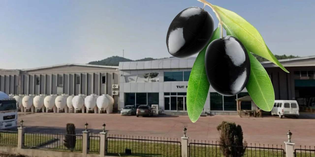 Türkiye’nin ünlü zeytin markası iflas bayrağını çekti